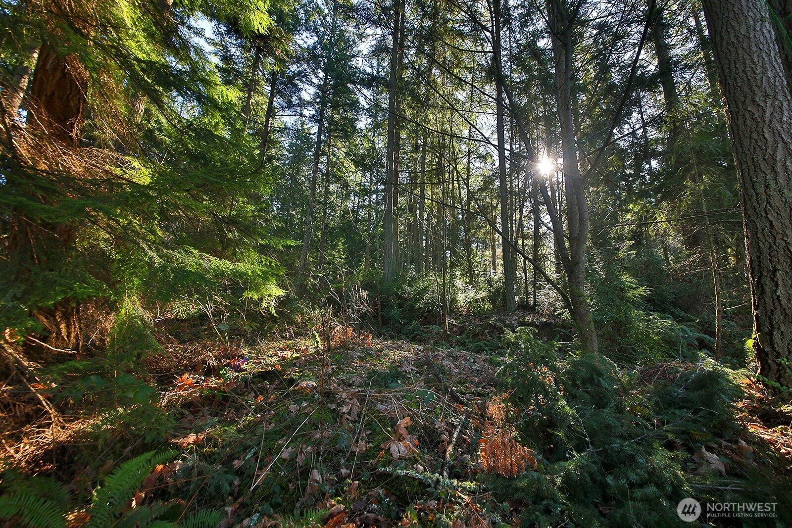 6880 Holst Road , Clinton, WA 98236