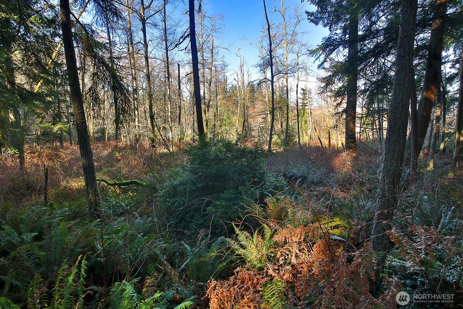 6880 Holst Road , Clinton, WA 98236
