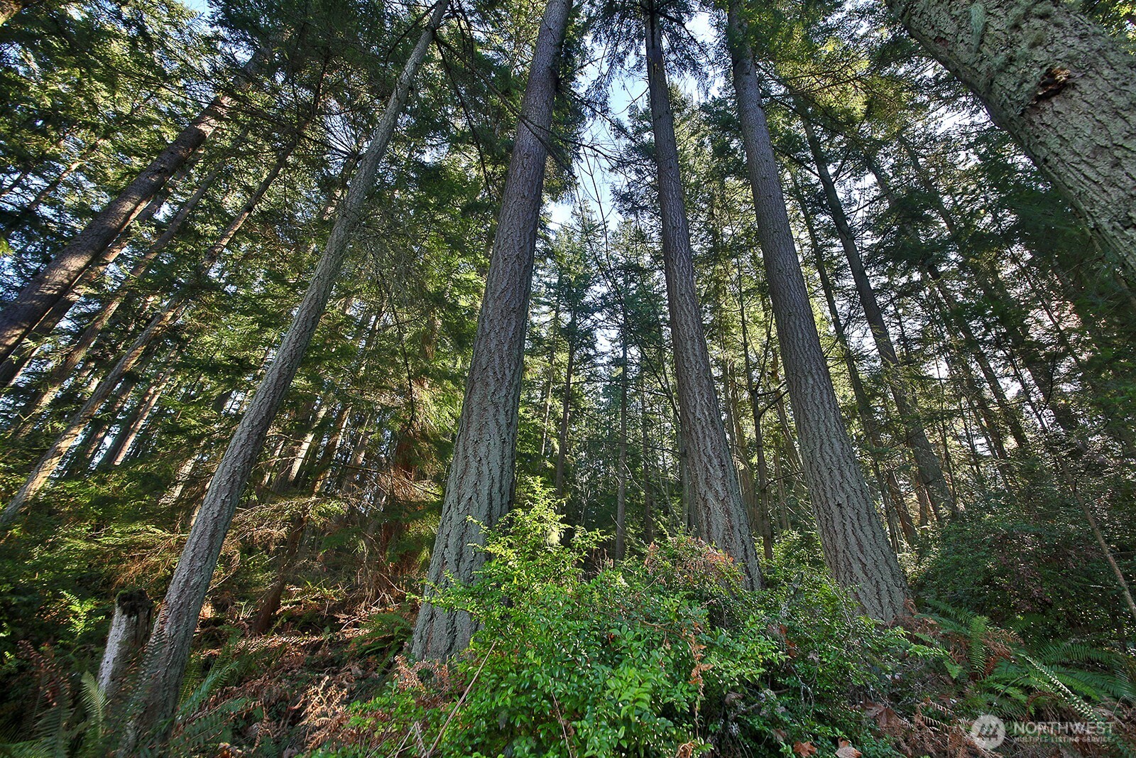 6880 Holst Road , Clinton, WA 98236