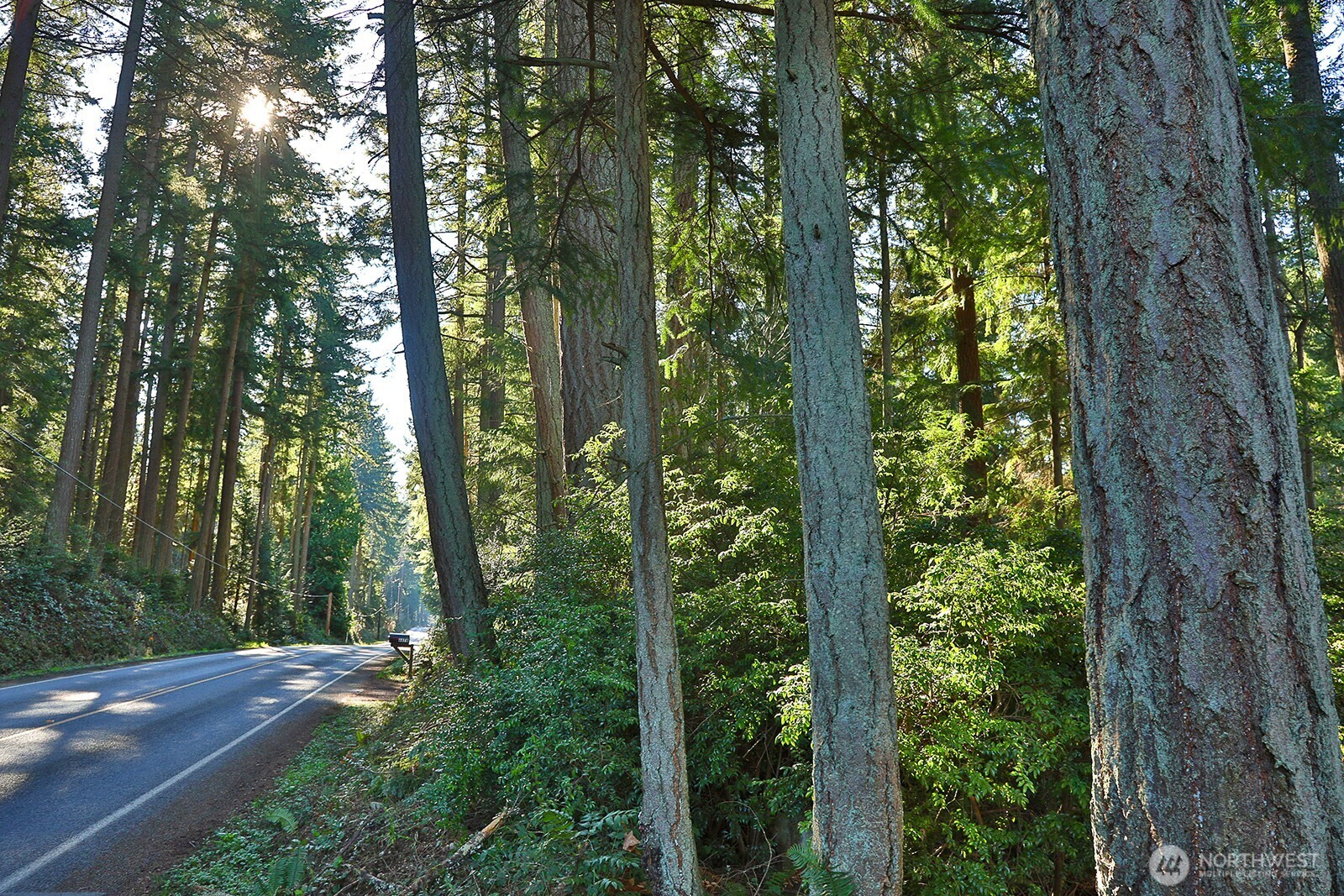 6880 Holst Road , Clinton, WA 98236