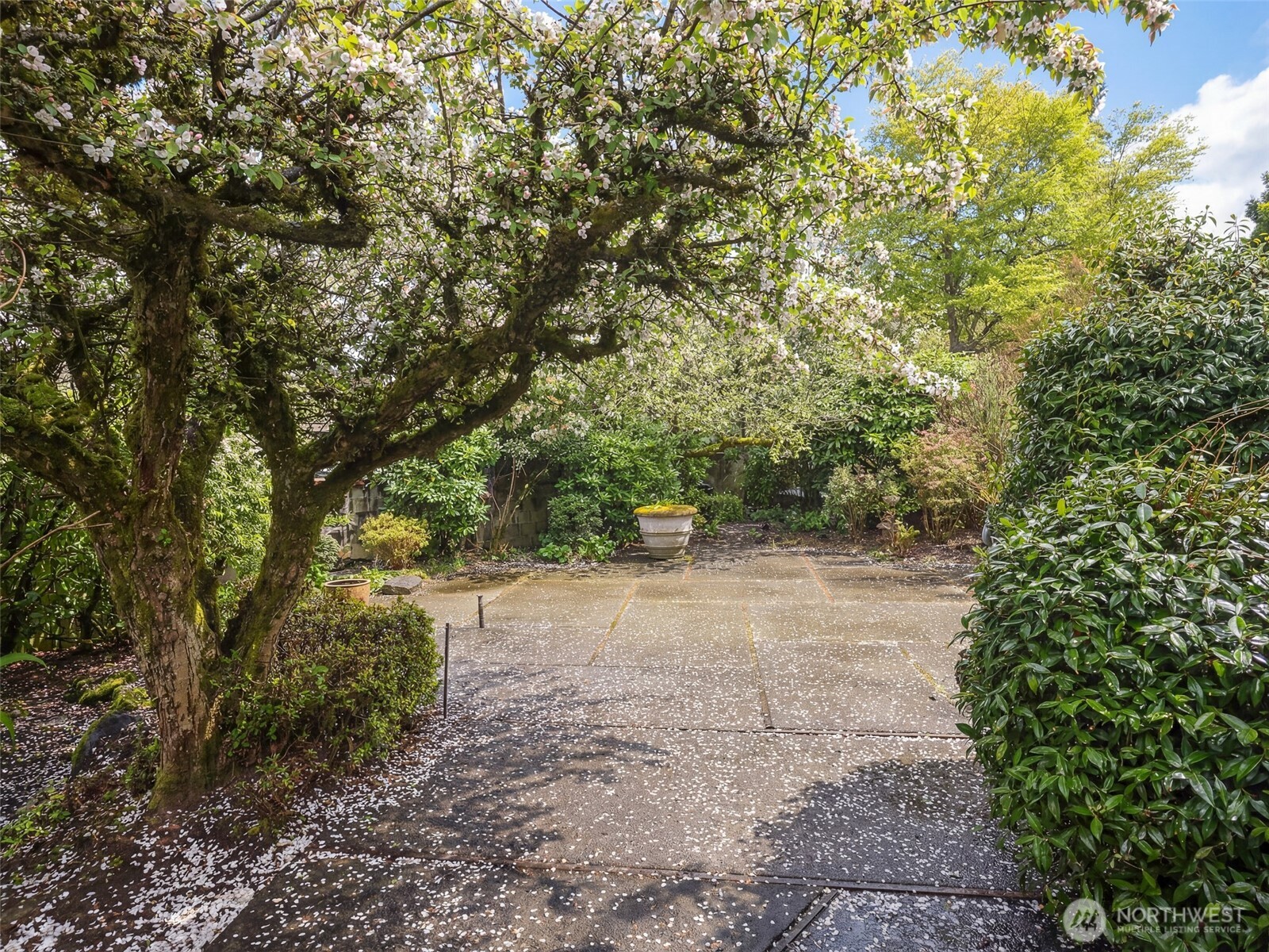 5001 NE Park Place , Seattle, WA 98115