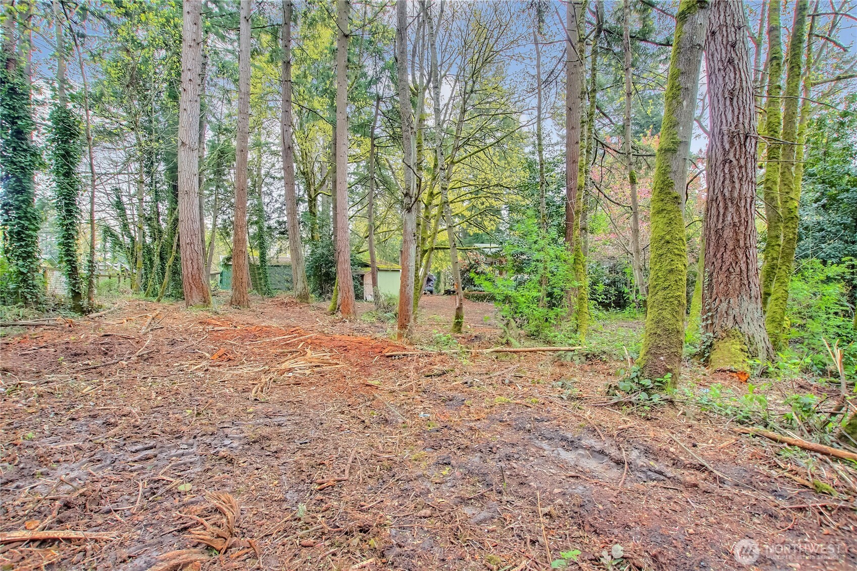 36529 6th Avenue SW, Federal Way, WA 98023