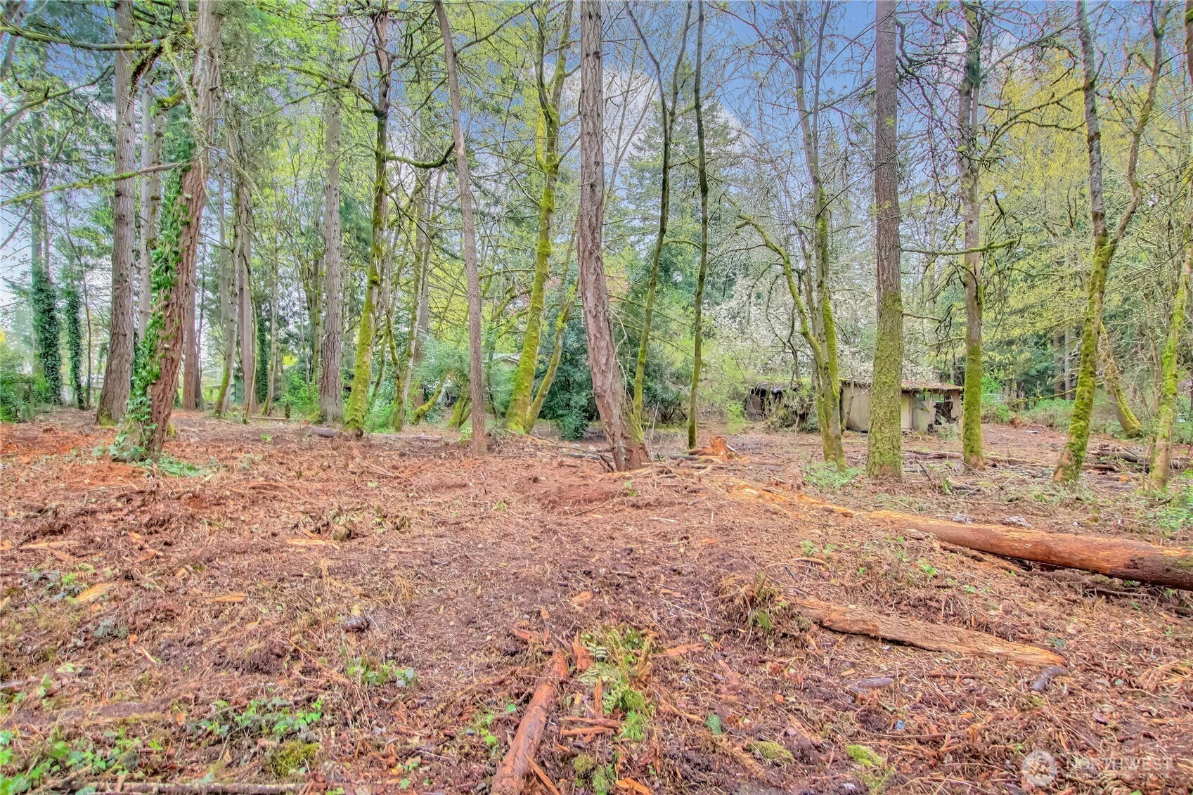 36529 6th Avenue SW, Federal Way, WA 98023