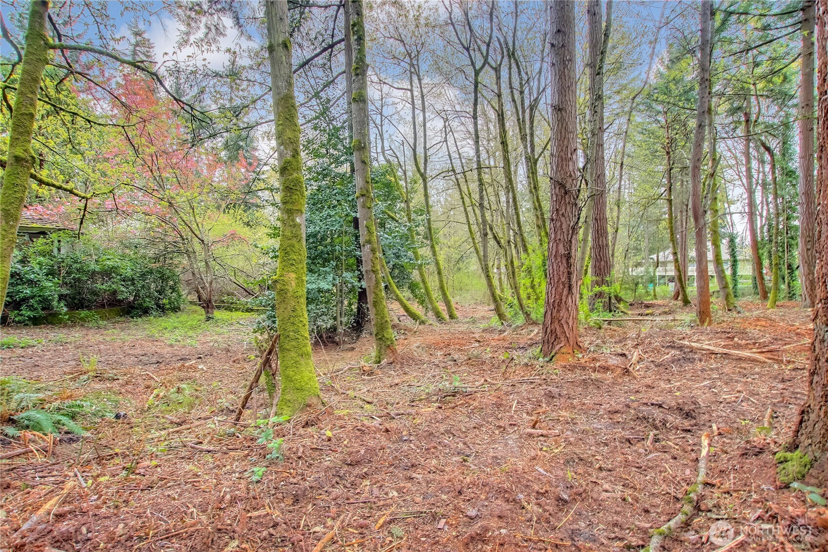 36529 6th Avenue SW, Federal Way, WA 98023