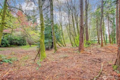 36529 6th Avenue SW, Federal Way, WA 98023 - Photo 20