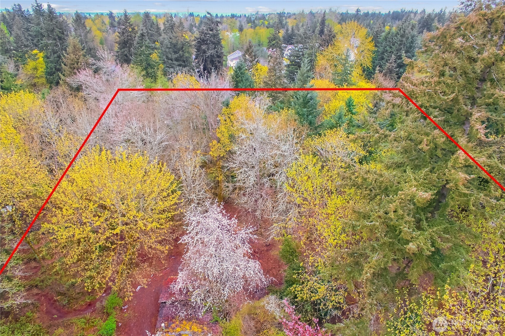 36529 6th Avenue SW, Federal Way, WA 98023