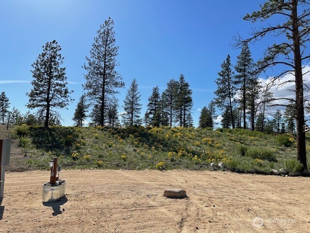 0 nna 4XX Harmony Heights Road , Brewster, WA 98812