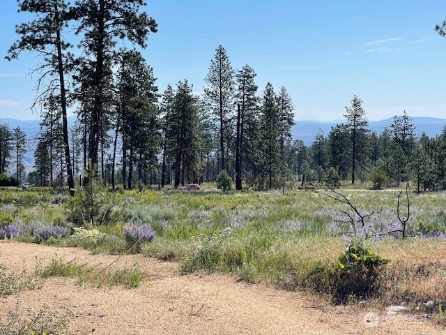 0 nna 4XX Harmony Heights Road , Brewster, WA 98812