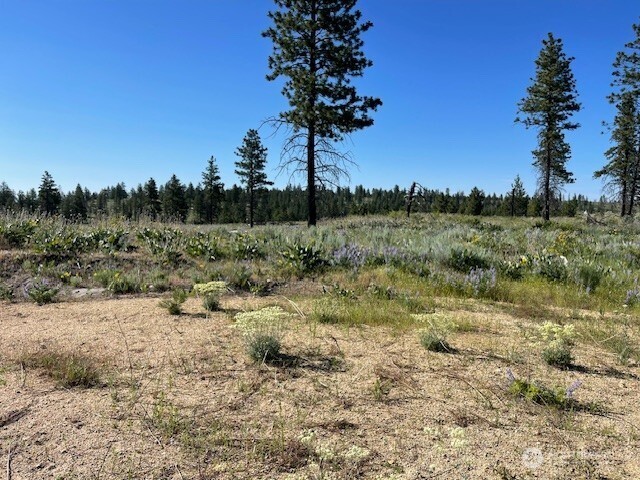 0 nna 4XX Harmony Heights Road , Brewster, WA 98812