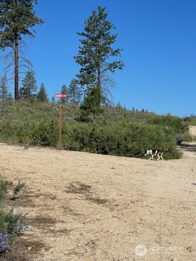0 nna 4XX Harmony Heights Road , Brewster, WA 98812 - Photo 4