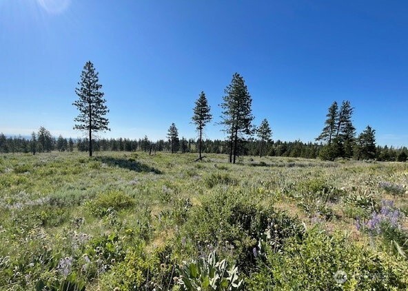 0 nna 4XX Harmony Heights Road , Brewster, WA 98812