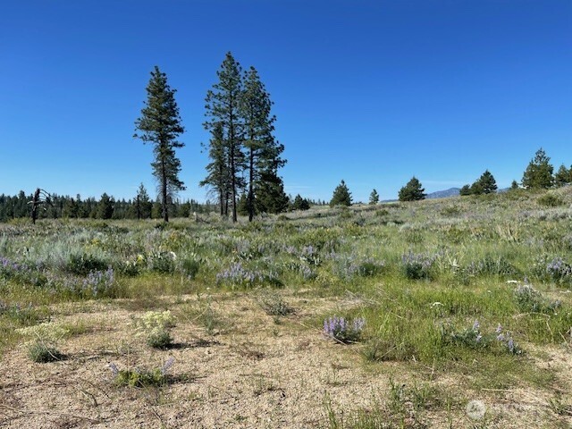 0 nna 4XX Harmony Heights Road , Brewster, WA 98812