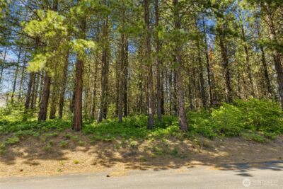 831 Iron Monarch Loop , Cle Elum, WA 98922 - Photo 11