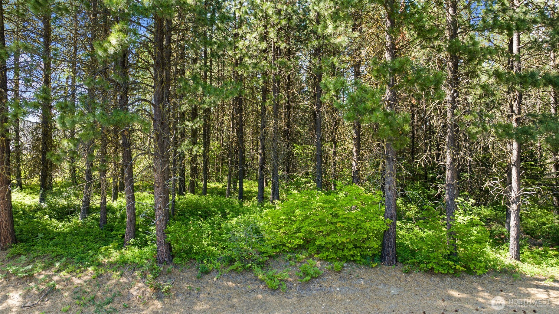 831 Iron Monarch Loop , Cle Elum, WA 98922