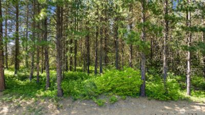 831 Iron Monarch Loop , Cle Elum, WA 98922 - Photo 12