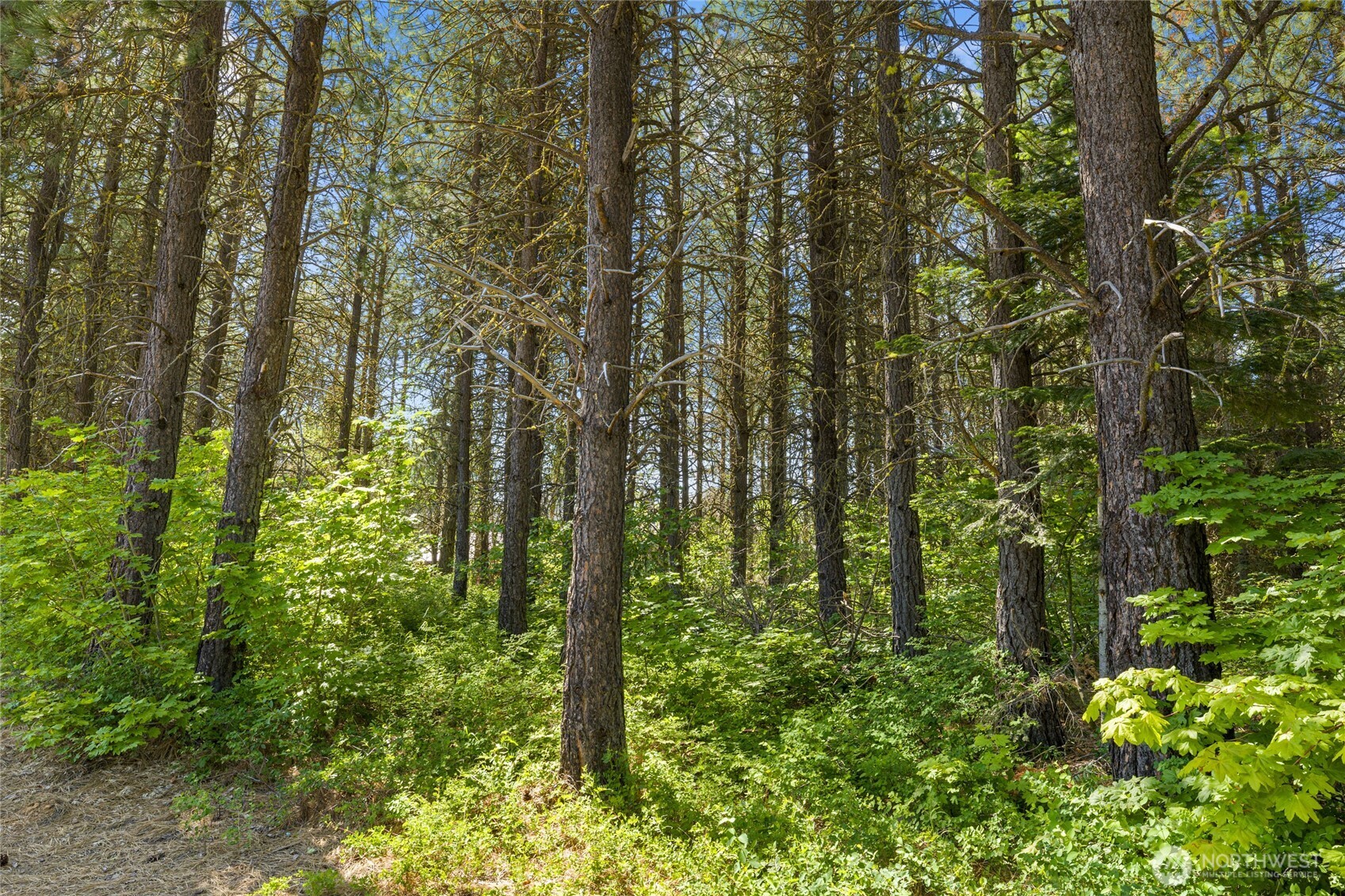 831 Iron Monarch Loop , Cle Elum, WA 98922