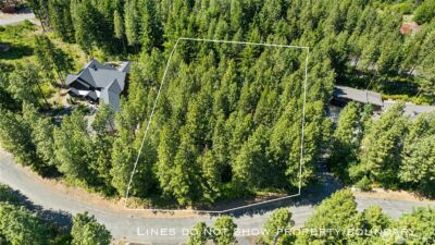 831 Iron Monarch Loop , Cle Elum, WA 98922 - Photo 4