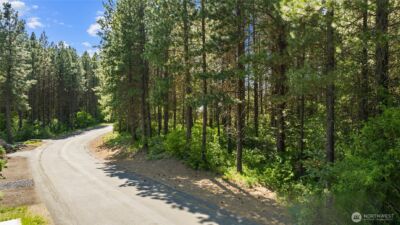 831 Iron Monarch Loop , Cle Elum, WA 98922 - Photo 9
