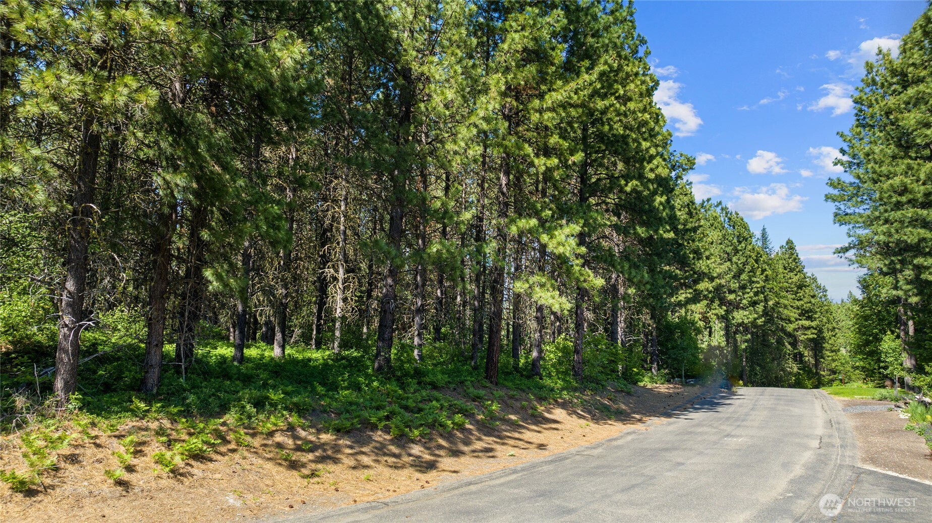 831 Iron Monarch Loop , Cle Elum, WA 98922