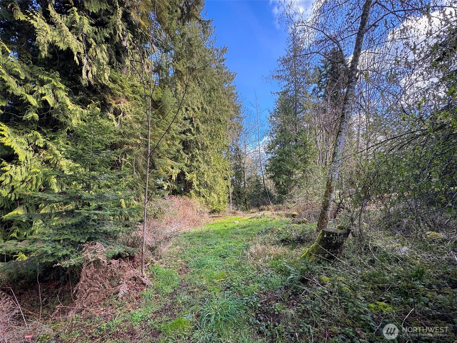 2211 Lindberg Road , Port Angeles, WA 98362