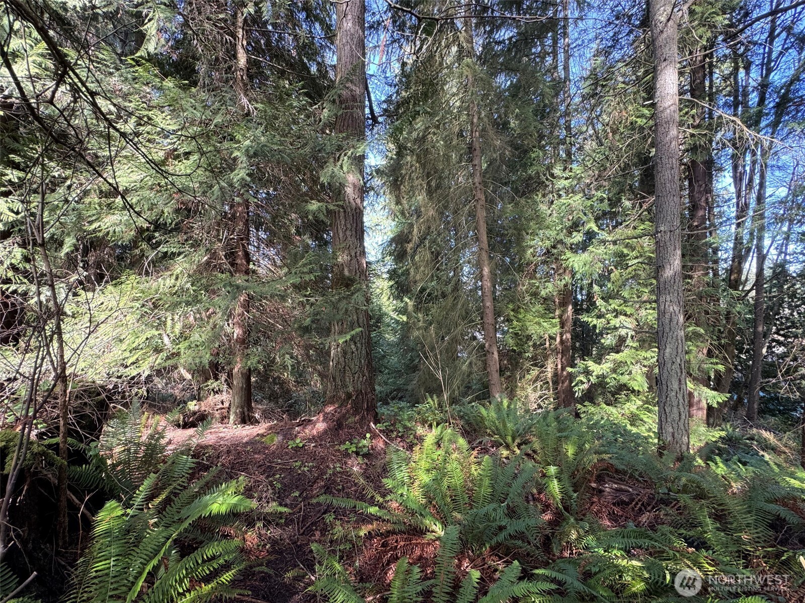 2211 Lindberg Road , Port Angeles, WA 98362