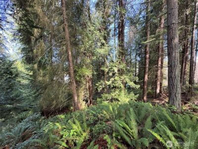 2211 Lindberg Road , Port Angeles, WA 98362 - Photo 18