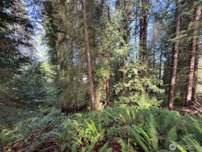 2211 Lindberg Road , Port Angeles, WA 98362 - Photo 19
