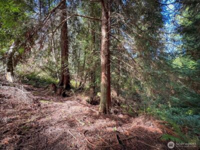 2211 Lindberg Road , Port Angeles, WA 98362 - Photo 20