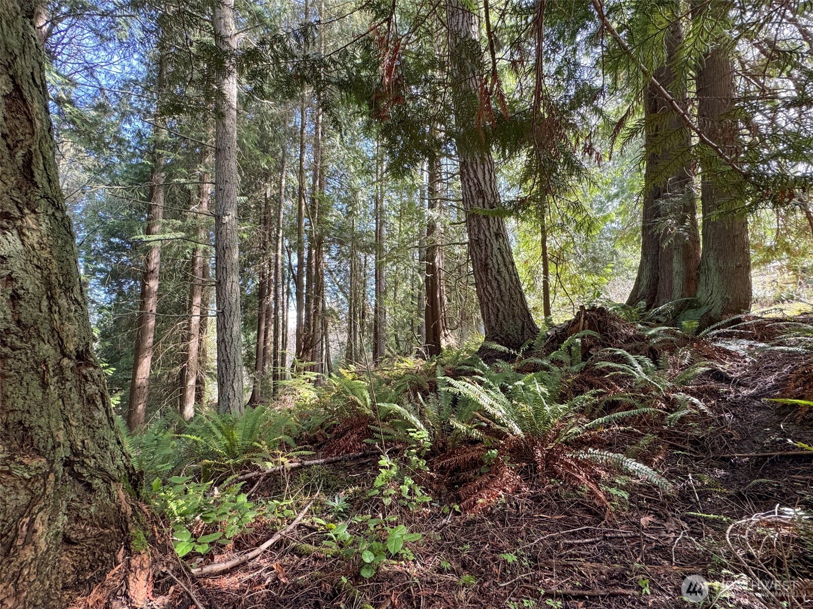 2211 Lindberg Road , Port Angeles, WA 98362