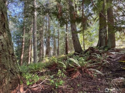 2211 Lindberg Road , Port Angeles, WA 98362 - Photo 21