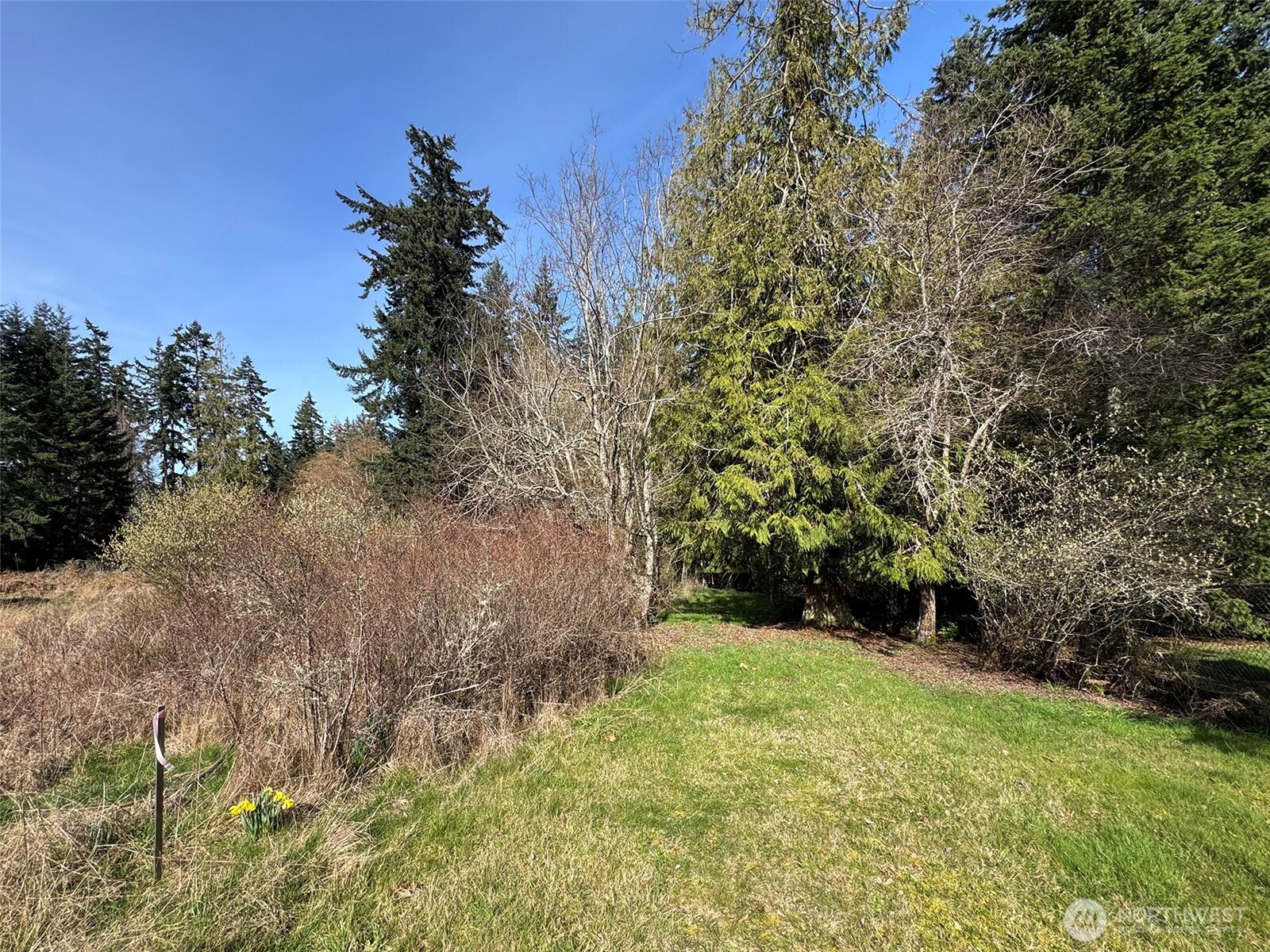 2211 Lindberg Road , Port Angeles, WA 98362