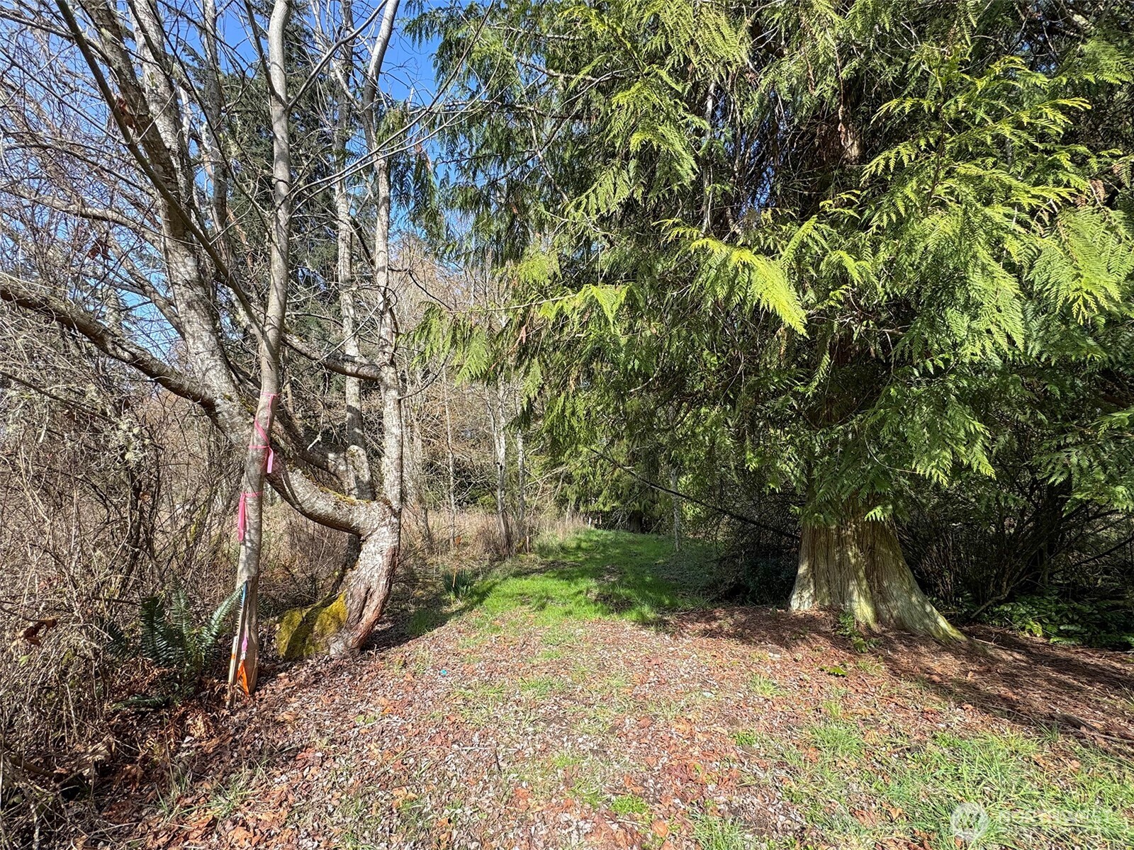 2211 Lindberg Road , Port Angeles, WA 98362