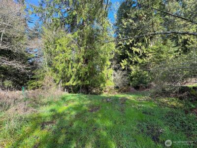 2211 Lindberg Road , Port Angeles, WA 98362 - Photo 7