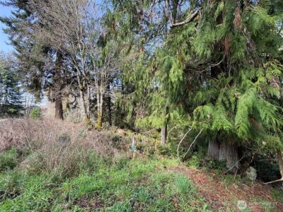 2211 Lindberg Road , Port Angeles, WA 98362 - Photo 8