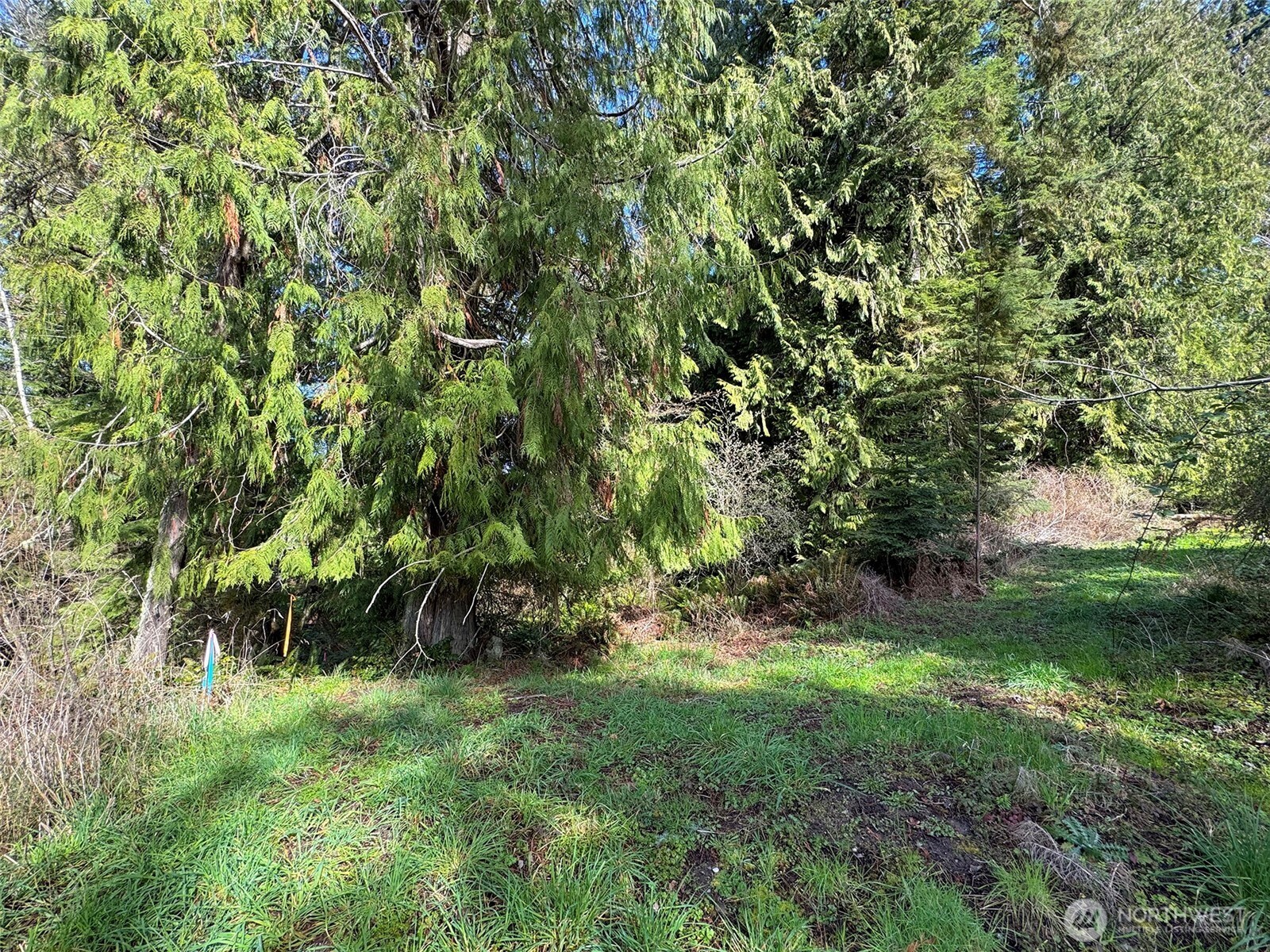 2211 Lindberg Road , Port Angeles, WA 98362