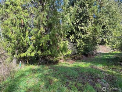 2211 Lindberg Road , Port Angeles, WA 98362 - Photo 10