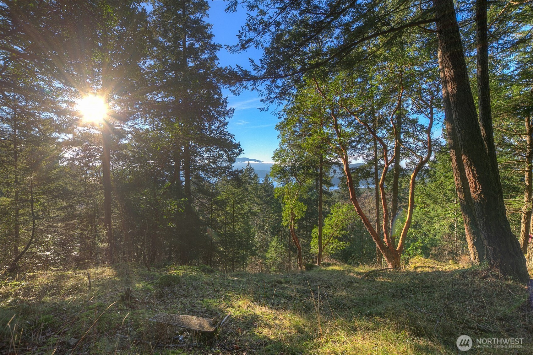 558 Buck Mt. Road , Orcas Island, WA 98245