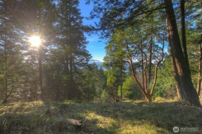 558 Buck Mt. Road , Orcas Island, WA 98245 - Photo 1