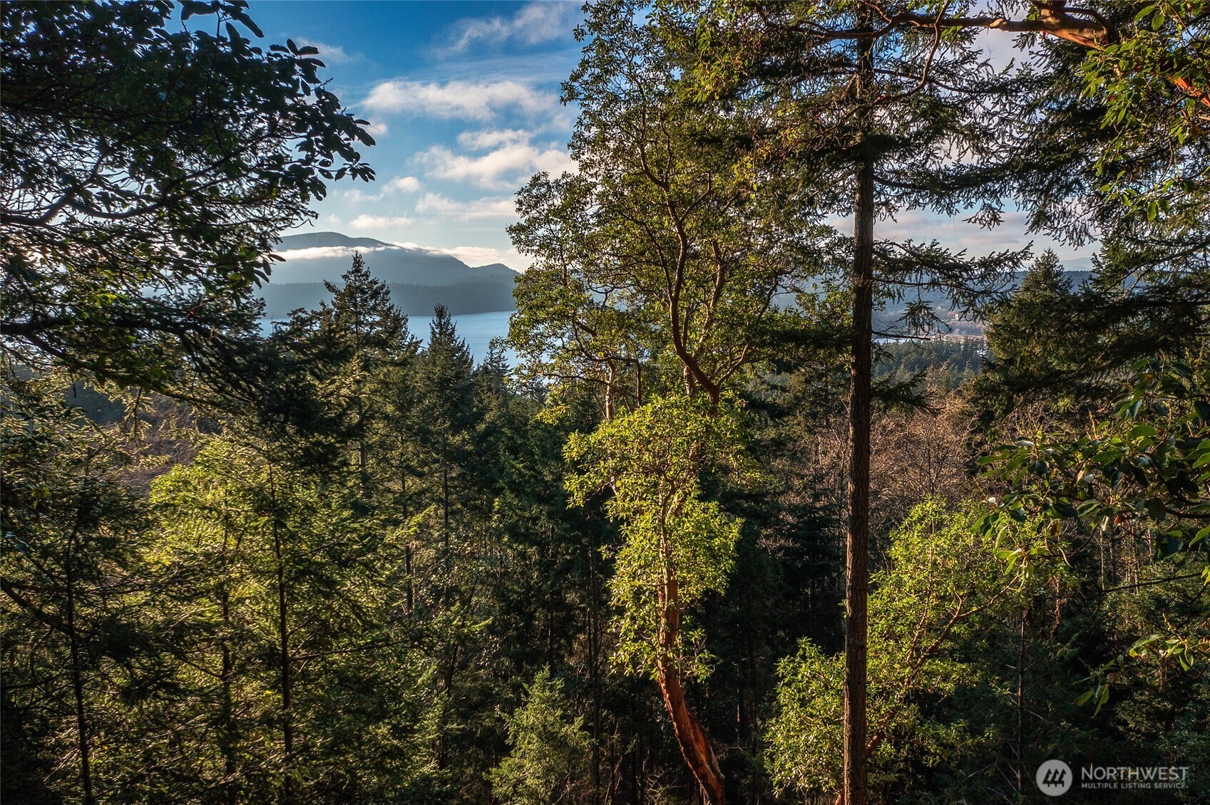 558 Buck Mt. Road , Orcas Island, WA 98245