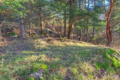 558 Buck Mt. Road , Orcas Island, WA 98245 - Photo 11