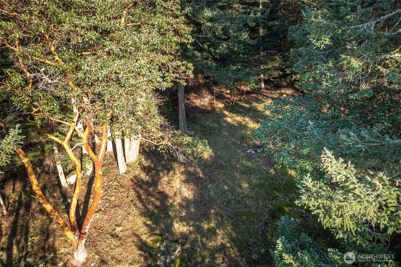 558 Buck Mt. Road , Orcas Island, WA 98245