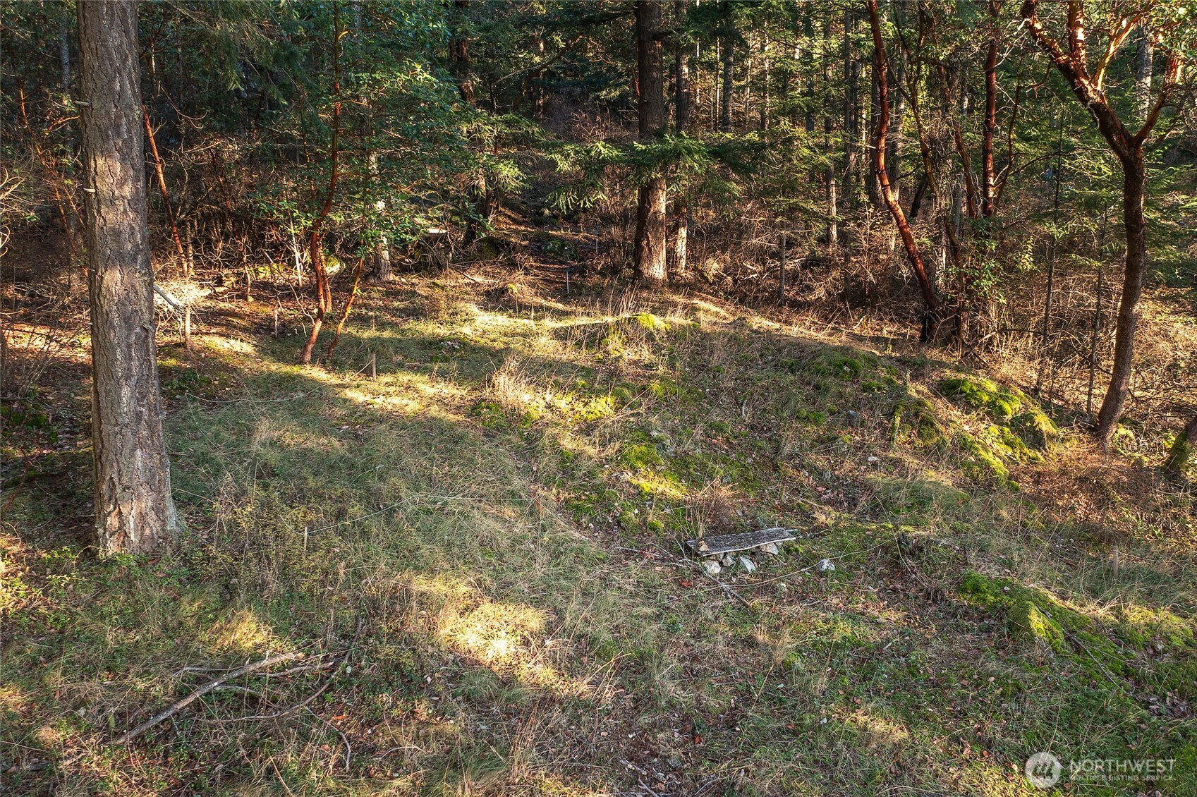 558 Buck Mt. Road , Orcas Island, WA 98245