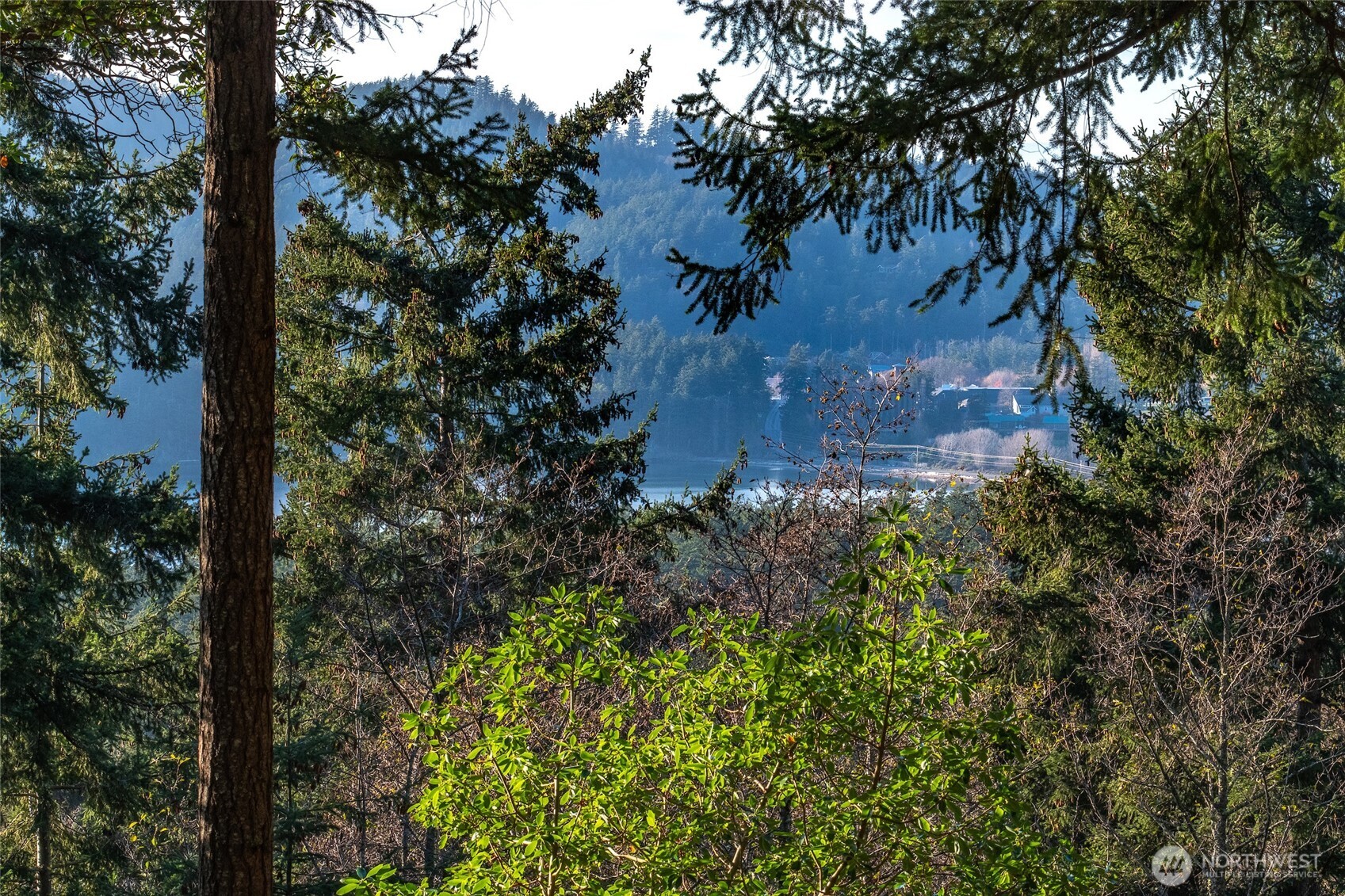 558 Buck Mt. Road , Orcas Island, WA 98245