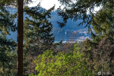 558 Buck Mt. Road , Orcas Island, WA 98245 - Photo 16