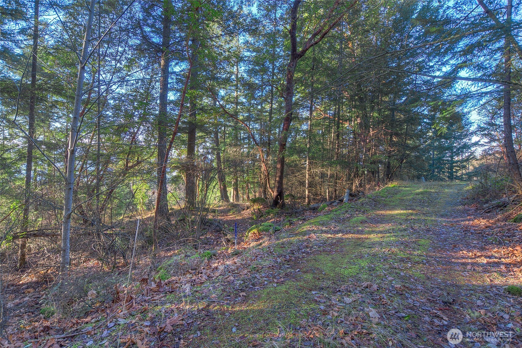 558 Buck Mt. Road , Orcas Island, WA 98245