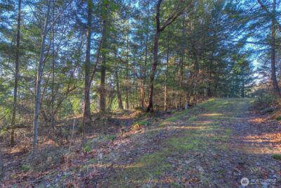 558 Buck Mt. Road , Orcas Island, WA 98245 - Photo 18