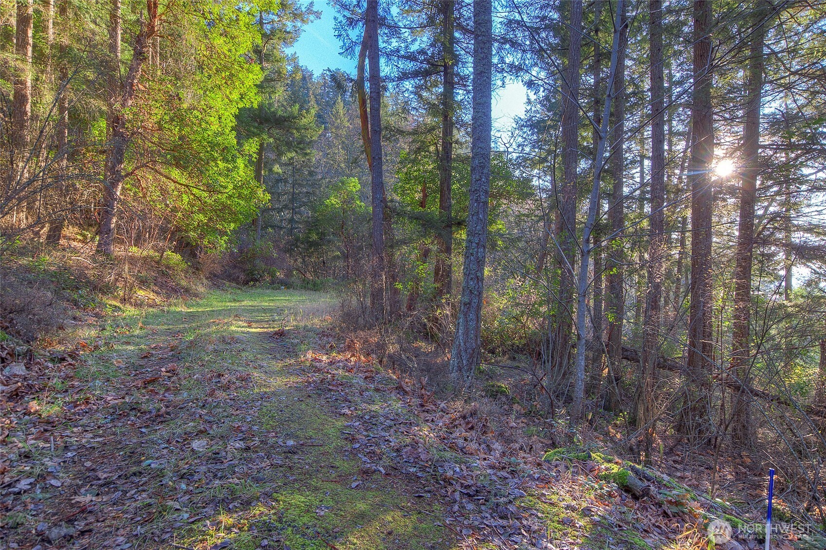 558 Buck Mt. Road , Orcas Island, WA 98245