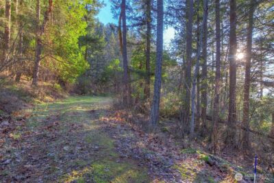 558 Buck Mt. Road , Orcas Island, WA 98245 - Photo 19