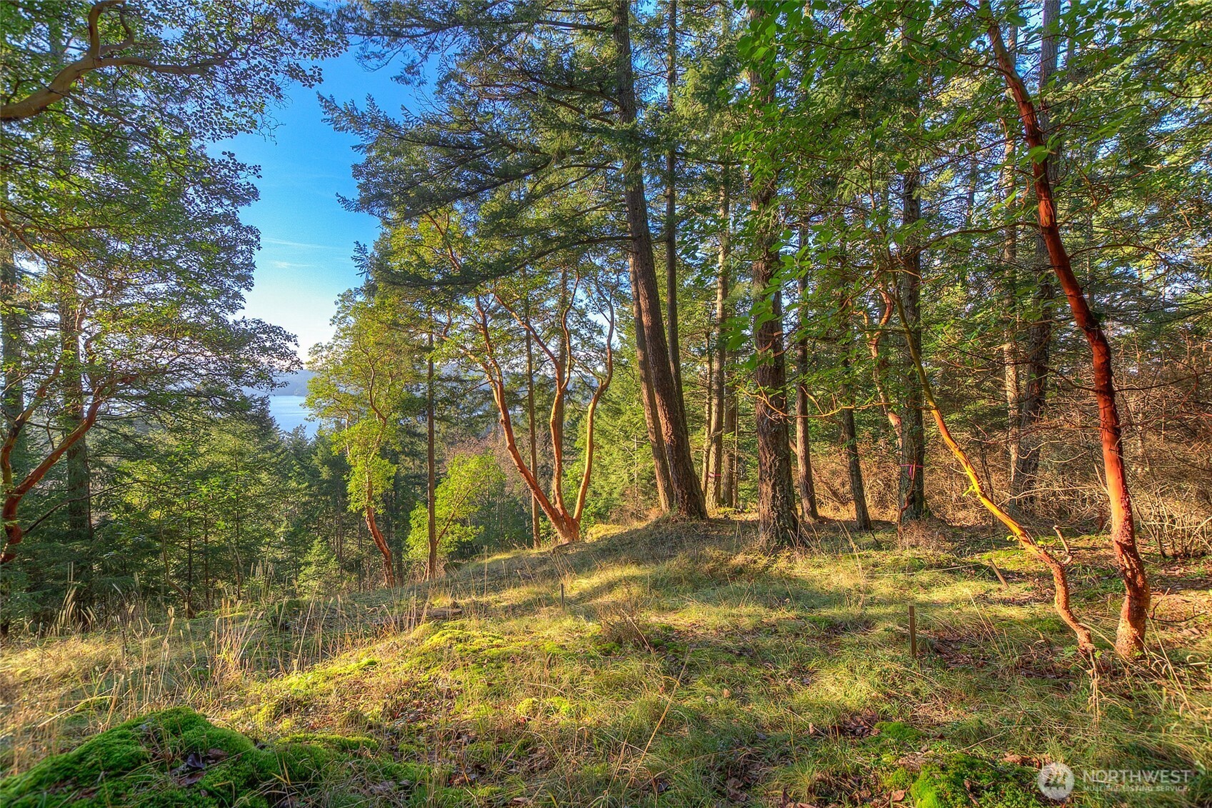 558 Buck Mt. Road , Orcas Island, WA 98245