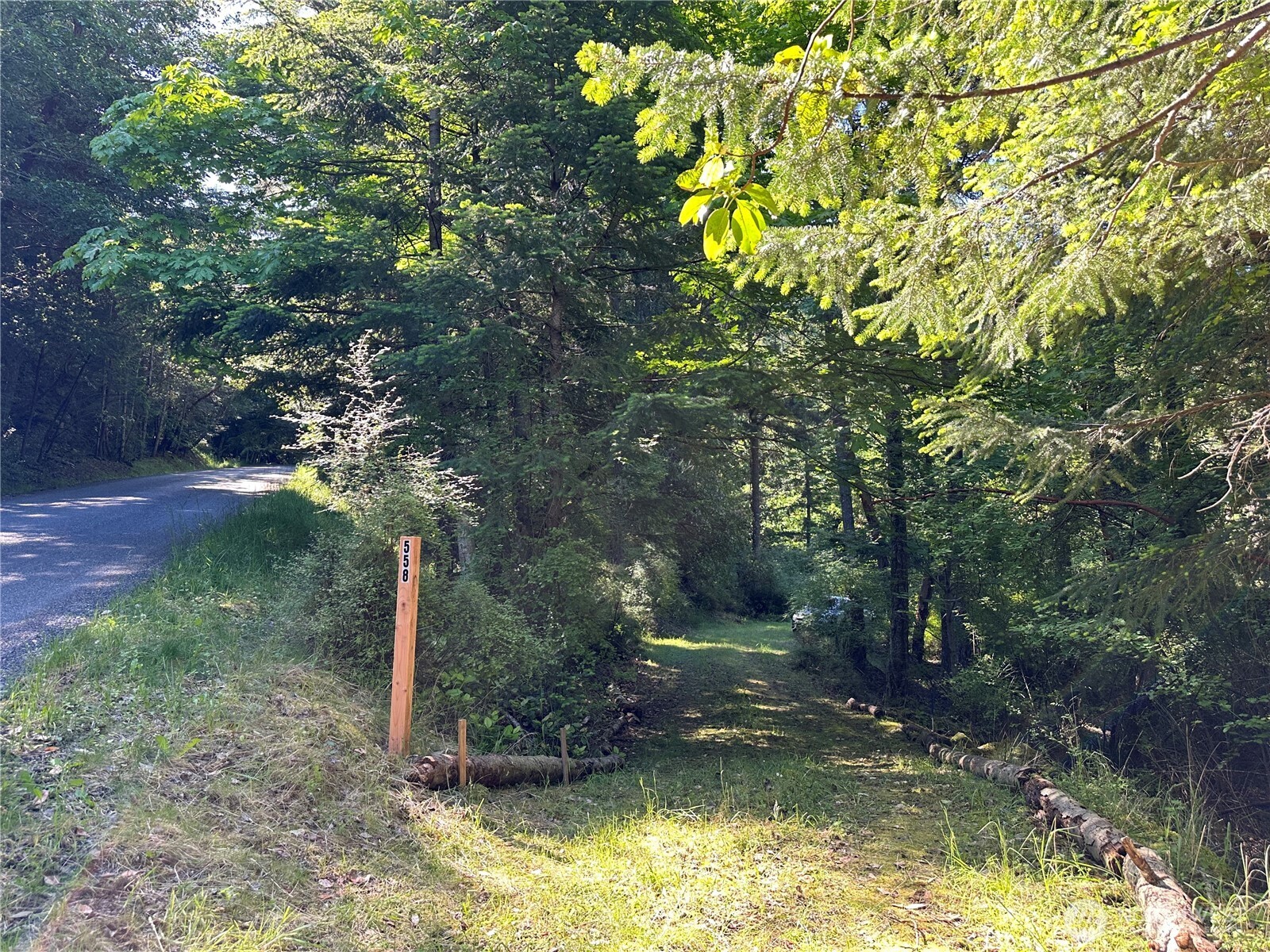 558 Buck Mt. Road , Orcas Island, WA 98245